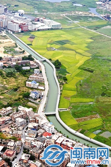 北峰片區的鄉間田園風光