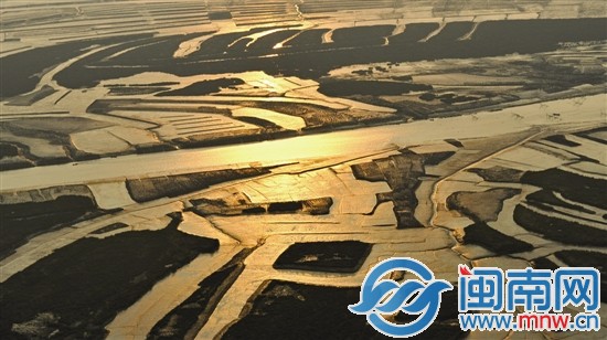 晨曦中的洛陽(yáng)江河口濕地