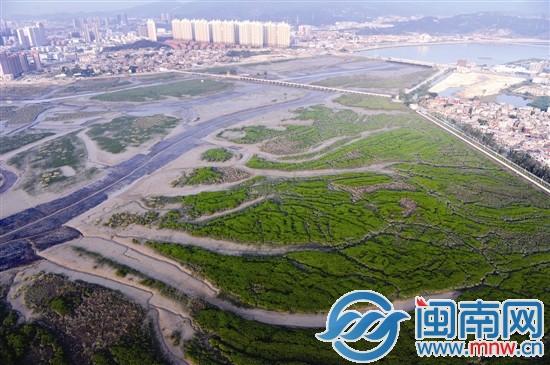 洛陽橋畔如今生態保護依然良好