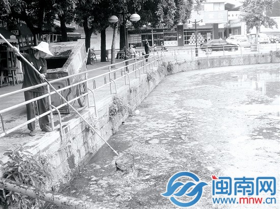 2009年,百源清池池水黑臭