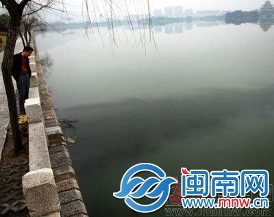 2011年,西湖遭油污污染