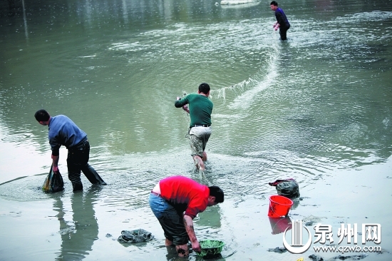 “絕戶網”捕魚,破壞漁業生態