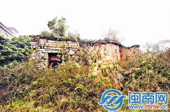 槐山村一處古窯,已經(jīng)被草叢包圍