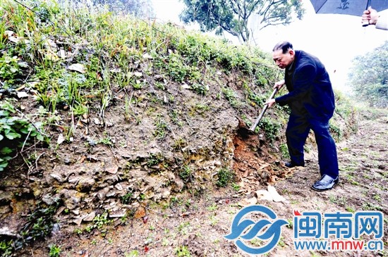 在田埂上,隨便一挖可見瓷片堆積