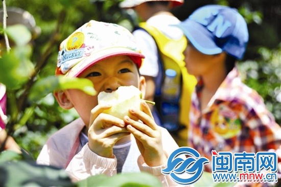 剛摘下來的梨子,忍不住先咬一口